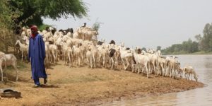 Naviguer sur la surface de l&rsquo;eau au Sénégal : Uniformiser les règles du jeu en matière d&rsquo;accès à une ressource vitale