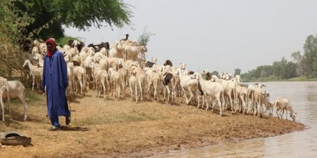 Naviguer sur la surface de l’eau au Sénégal : Uniformiser les règles du jeu en matière d’accès à une ressource vitale