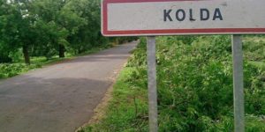 Kolda -Deuxième édition de la Foire de l’Emploi Vert 2025 : Un levier pour une transition écologique et socio-économique durable