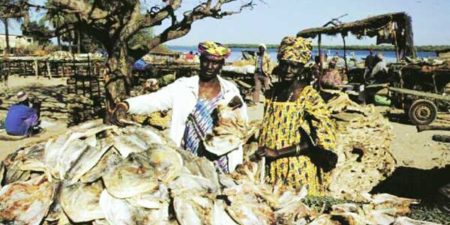 JOURNEE DU 8 mars 2023 : Les femmes transformatrices pour la reconnaissance de leur activité professionnelle