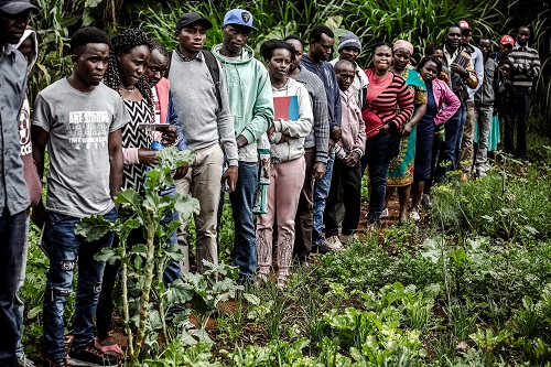 EMPLOI DES JEUNES DANS LES SYSTEMES AGROALIMENTAIRES EN AFRIQUE : Des mesures concrètes attendues par la FAO à la réunion de Dakar du 7 au 9 mars 2023