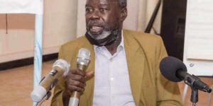 Mon cher Less       Par Alpha Amadou Sy