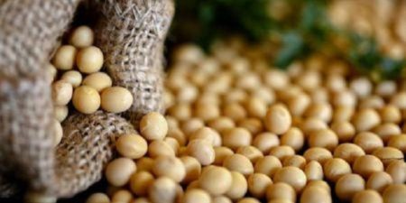Bénin : l’exécutif rachètera plus de 182 000 tonnes de soja invendu auprès des producteurs