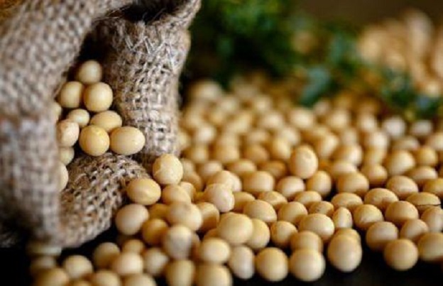 Bénin : l’exécutif rachètera plus de 182 000 tonnes de soja invendu auprès des producteurs