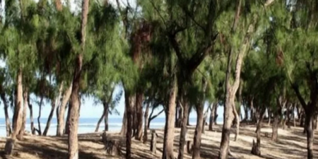 Litige foncier signalé : les terres du projet «Keur Serigne Touba» détournées à Guédiawaye exacerbent un collectif