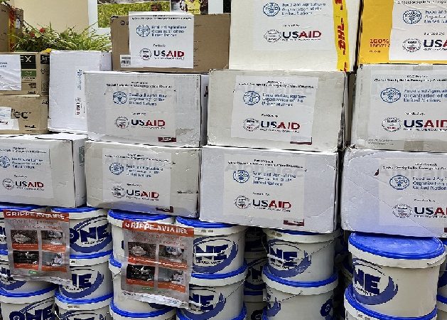 Grippe aviaire au Sénégal : l’USAID a offert un appui de 70 Millions de FCFA au ministère de l’Élevage.