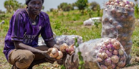 FAO : L’action anticipée, une approche bénéfique pour les populations locales touchées par les inondations dans l’Extrême-Nord du Cameroun