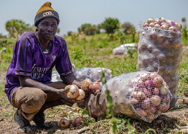 FAO : L’action anticipée, une approche bénéfique pour les populations locales touchées par les inondations dans l’Extrême-Nord du Cameroun