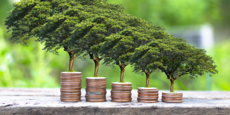 En Afrique subsaharienne : La croissance économique pourrait décliner de façon permanente si les tensions géopolitiques s’intensifient