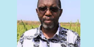 Installation de Dakaractu hors du Sénégal : Mademba Ndiaye dit non, «ne pas figurer sur la liste ne signifie en aucun cas que c’est un organe de presse illégal…»