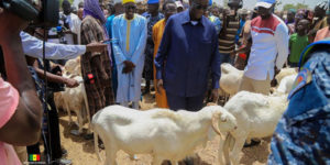 Tabaski – Amadou Ba dans les foirails : La fête sera bêle