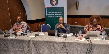 CEDEAO : Les experts  examinent le Code des Subventions de l’Organisation et ses annexes