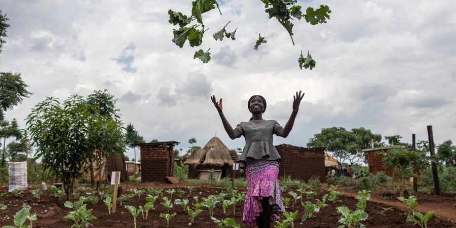 Les réfugiés en Ouganda: l’inclusion par l’agriculture (La FAO)