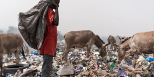 Environnement : Face à la pollution, Yoff s’engage contre la dégradation du littoral