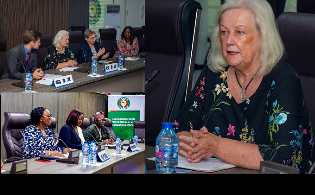 Coopération : La CEDEAO, l’Ambassade d’Allemagne et la GIZ en concertation à Abuja pour renforcer leurs liens