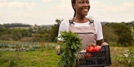 UNFSS+2-Un événement de haut niveau : Evaluation des solutions pour une transformation efficace des systèmes agroalimentaires dirigée par l’Afrique