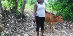 Histoire vécue source de motivation de la FAO :  Haïti, des femmes rurales investissent en elles-mêmes pour l’essor