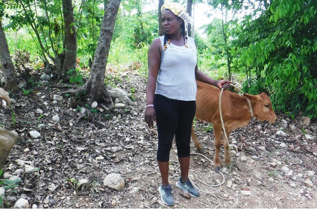 Histoire vécue source de motivation de la FAO :  Haïti, des femmes rurales investissent en elles-mêmes pour l’essor