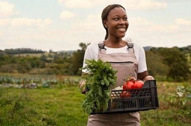 UNFSS+2-Un événement de haut niveau : Evaluation des solutions pour une transformation efficace des systèmes agroalimentaires dirigée par l&rsquo;Afrique