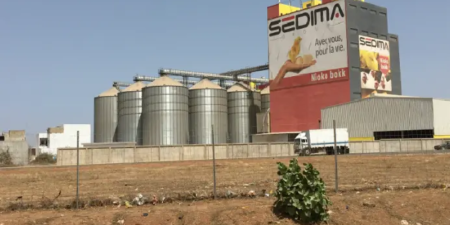 Menaces causées par la ferme de Sedima à Sangalkam : Les habitants de SN City  crient leur ras-le-bol
