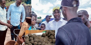 En route vers l’essor du Sénégal :  Le Pavart crée une véritable rupture sur le marché et pose des actions fortes pour l&rsquo;industrialisation