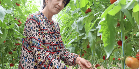 Agriculture : En Ouzbékistan, un usage intelligent de l’eau dans les serres