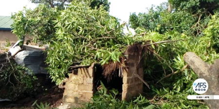Sédhiou : une forte pluie fait des dégâts à Diendé, une cinquantaine de maisons endommagées