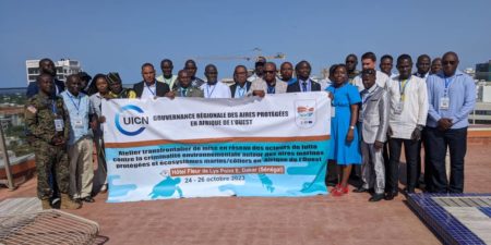 LUTTE CONTRE LA CRIMINALITE ENVIRONNEMENTALE : La mise sur pied d’un réseau des acteurs, une réponse au phénomène