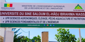 Fatick : Les étudiants de l’USSEIN bloquent la route nationale pour réclamer l’achèvement de leur campus