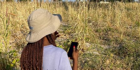 Histoire source de motivation de la FAO-Agriculture : La terre vue du ciel