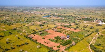 POUR LA REALISATION DE L’AGROPOLE NORD : La BAD accorde un financement de près de 87 millions d’euros au Sénégal