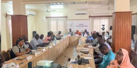 Economie : Le Bureau de Mise à Niveau a tenu des séances de formation sur financement vert.