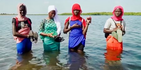 Défiant l’inertie : Fatou Senghor et la bataille pour l’éducation au Sine Saloum- Par Adama Diop,