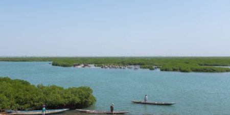 AIRES MARINES PROTEGEES DE L’AFRIQUE DE L’OUEST : Vers une harmonisation des politiques avec une stratégie régionale