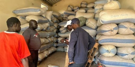 Distribution de semences d’arachide : Aar Sunu Momeel dénonce la présence d’une importante quantité de sable dans des sacs distribués à des agriculteurs