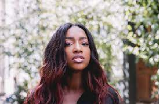 Jeunesse-création d’emploi : Maison Hapsatousy et Greentech Afrique vers une grande avancée dans la valorisation des ressources territoriales