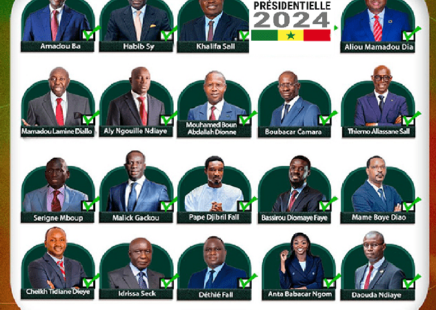 Résultats provisoires de la Présidentielle : Diomaye, Amadou et les autres…