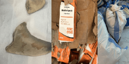 Douane : De faux médicaments, des ailerons de requins et du chanvre indien saisis au centre du pays,  à l’AIBD et à Rufisque