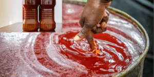 Schéma de libéralisation des échanges (SLE) : Abuja tient un atelier régional sur la libre circulation de l’huile de palme sous régime traitement préférentiel