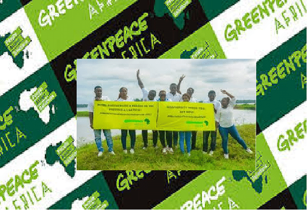 Environnement : Greenpeace Afrique salue la condamnation de la Suisse pour inaction climatique et y voit une lueur d’espoir pour les communautés africaines