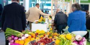 Salon international MACFRUT 2024 : Une forte présence des entreprises sénégalaises attendue à Rimini en Italie