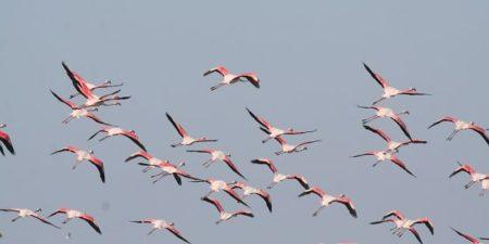 11eForum régional côtier et marin : La Guinée-Bissau accueille le plus grand rassemblement des acteurs du littoral en Afrique de l’Ouest