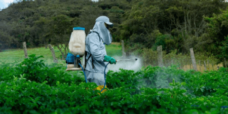 Bombes toxiques à retardement : Trop dangereux pour être utilisés dans l’UE, des tonnes de pesticides exportés d’Europe vers le reste du monde…