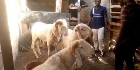LITTORAL DE GUEDIAWAYE : Le collectif des éleveurs et maraîchers de la bande de filaos dit niet aux déguerpissements
