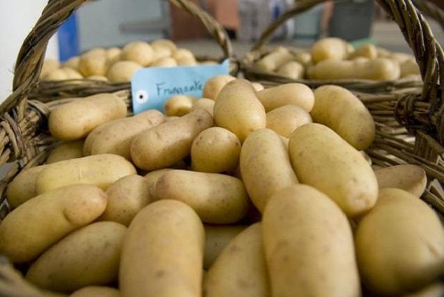 Vers l’autosuffisance, la fin des importations de pommes de terre et d’oignons, une décision stratégique à accompagner Par Souleymane Jules Sène