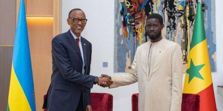 Le Président Bassirou Diomaye Faye :  Un Leader qui Façonne déjà l’Avenir de la Paix en Afrique (Me Abdoulaye Tine, Avocat à la Cour-Docteur en droit)