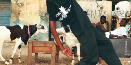 15e édition du festival international de danse contemporaine Duo Solo Danse à Saint-Louis : Une grande occasion pour les talents nationaux et internationaux de s’exprimer