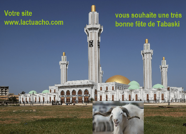 Tabaski 2024 : votre site www.lactuacho.com vous souhaite une très bonne fête