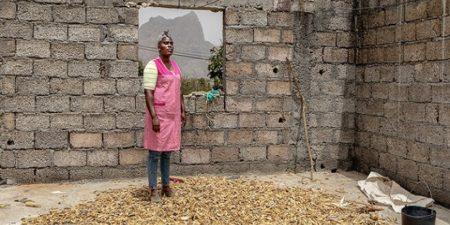 Histoire de la FAO source de Motivation : Parer aux aléas dans l’agriculture à Cabo Verde