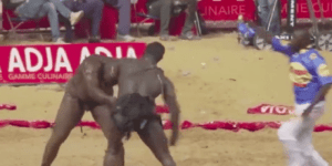 Lutte sénégalaise : Balla Gaye 2 inflige une autre défaite à Tapha Tine